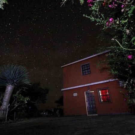 Bodega Goyo Apartment Puntallana ภายนอก รูปภาพ