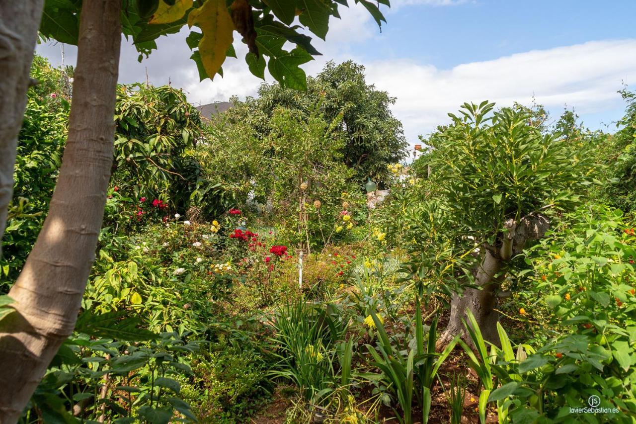 Bodega Goyo Apartment Puntallana ภายนอก รูปภาพ