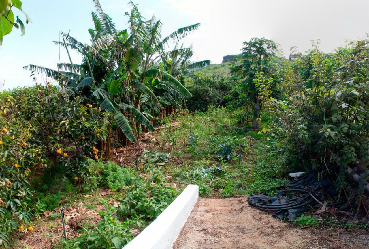 Bodega Goyo Apartment Puntallana ภายนอก รูปภาพ