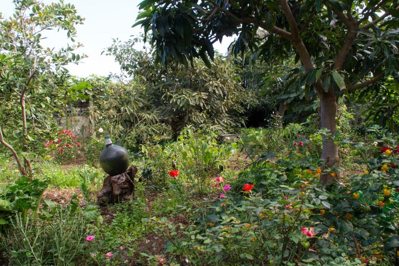 Bodega Goyo Apartment Puntallana ภายนอก รูปภาพ